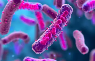 Tamaulipas descarta presencia de bacteria Klebsiella que afecta Edomex