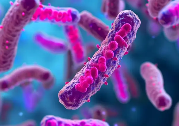 Tamaulipas descarta presencia de bacteria Klebsiella que afecta Edomex