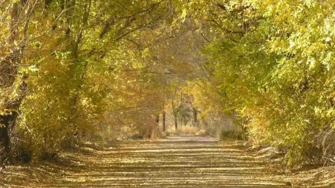 Conoce cual es el lugar en Durango reconocido principalmente por las manzanas que se dan en esa zona del estado. Foto: Facebook/ Canatlán de las Manzanas.