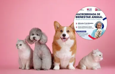 Monterrey organiza Macro brigada Gratuita para el bienestar de tus mascotas