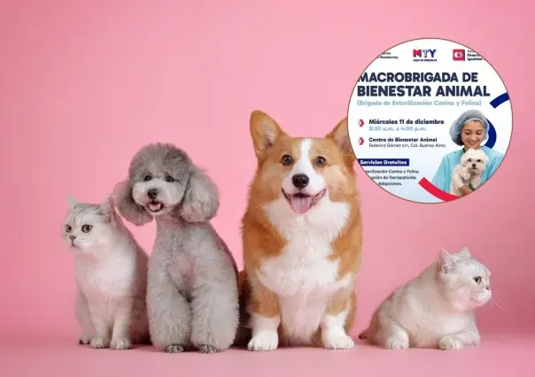 Monterrey organiza Macro brigada Gratuita para el bienestar de tus mascotas