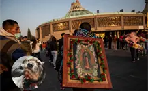 Operativo Basílica: Llaman a realizar rescate animal en celebración a Virgen de Guadalupe