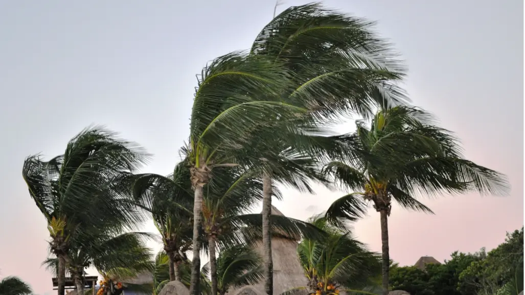 Frío intenso y vientos de hasta 74 km/h azotan Baja California Sur