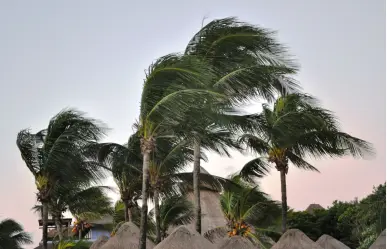 Frío intenso y vientos de hasta 74 km/h azotan Baja California Sur