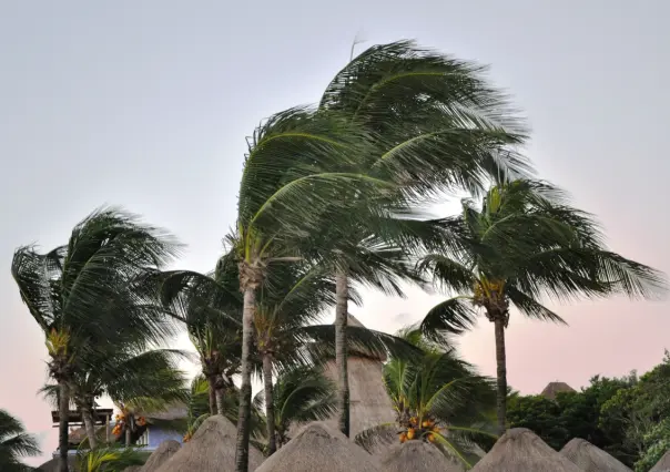 Frío intenso y vientos de hasta 74 km/h azotan Baja California Sur