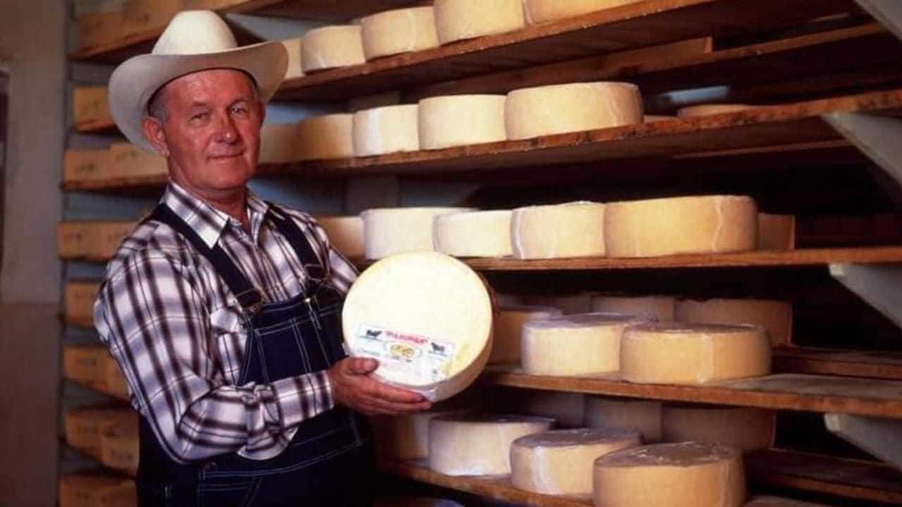 Aquí venden queso, salchichón y pan menonita, en la ciudad de Durango