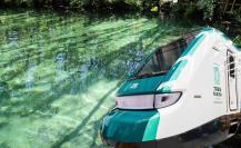 5 Cenotes que puedes visitar en la ruta del Tren Maya
