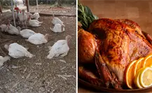Navidad en Yucatán: ¿Habrá pavo suficiente para esta temporada?