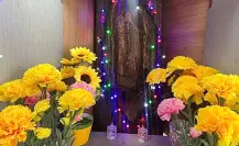 Aparición de la virgen de Guadalupe en un árbol en Tampico ¿conoces la historia?
