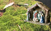 Navidad en Yucatán ¿Por qué no se debe usar heno y musgo en los nacimientos?