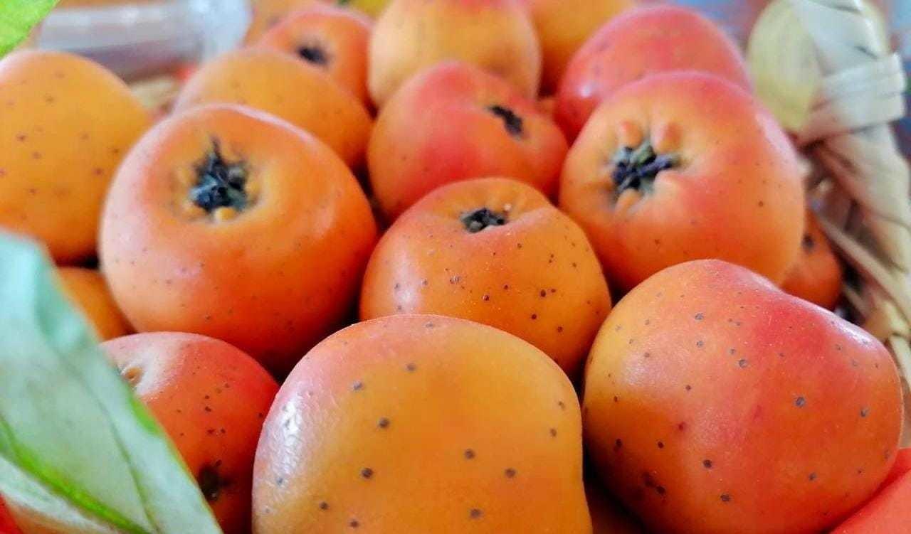 Tejocote: Más allá de su sabor, descubre por qué es ideal consumirlo en invierno. Foto: @AngieAlvaradoJ