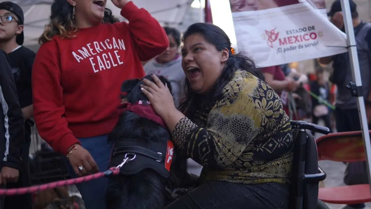 La adopción responsable en Edomex ha logrado que 245 lomitos y michis tengan un hogar. Foto: Gob. de Edomex