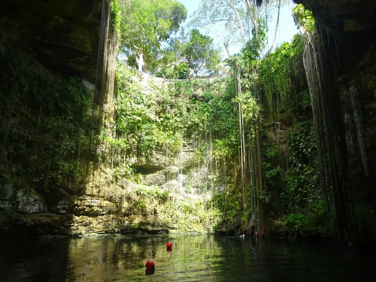 ¿Cuánto cuesta la entrada a los cenotes en Yucatán?. Foto: Unsplash