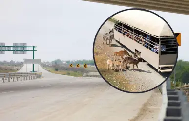 Nuevo Periférico: La ruta más rápida y segura para llegar a Bioparque Estrella