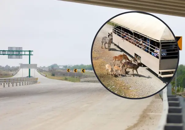 Nuevo Periférico: La ruta más rápida y segura para llegar a Bioparque Estrella