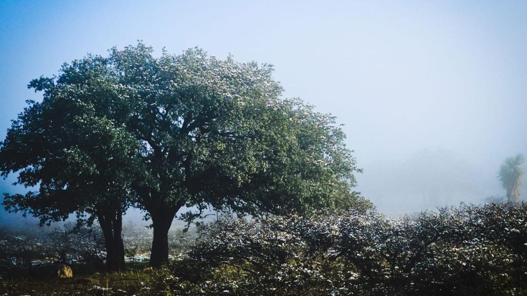 Este paraje de la sierra es ideal para días de campo y está a 25 minutos de la capital