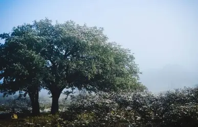 Este paraje de la sierra es ideal para días de campo y está a 25 minutos de la capital