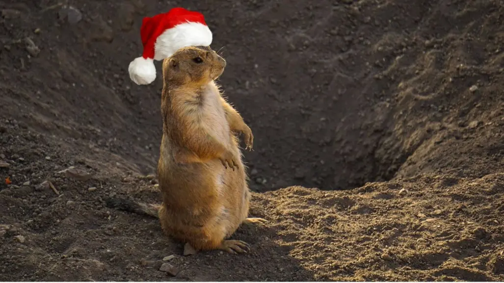 Museo del Desierto en Saltillo: ¿Cuáles son sus horarios por Navidad y Año Nuevo?