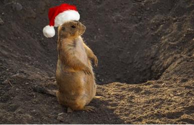 Museo del Desierto en Saltillo: ¿Cuáles son sus horarios por Navidad y Año Nuevo?