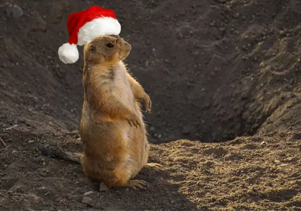 Museo del Desierto en Saltillo: ¿Cuáles son sus horarios por Navidad y Año Nuevo?