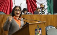 Sandra Pámanes: Lorena de la Garza no representa la pluralidad del Congreso