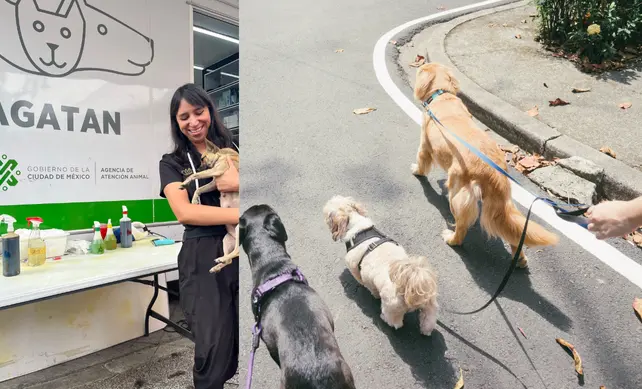 Paseadores y cuidadora de perros Foto: @Facebook Agatan y canva