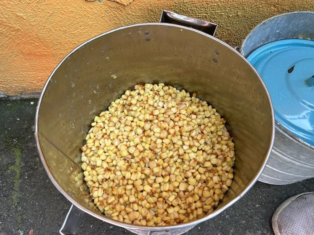 ¿Tamales para Navidad? Hay filas de 3 horas en molinos para comprar masa