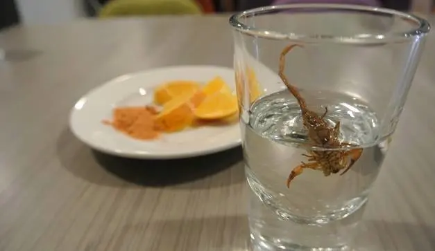 Durango tiene la denominación de productor de mezcal. Foto: Facebook Lovin Durango.