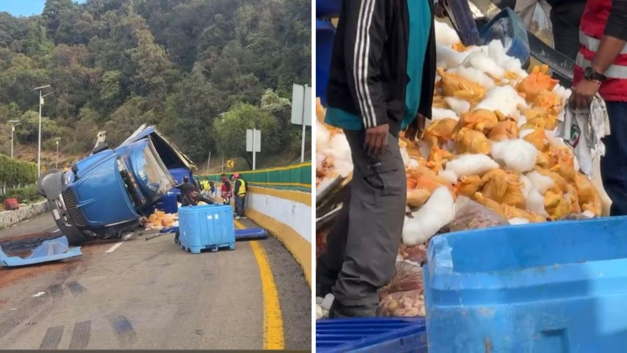 Vuelca tráiler con pollo crudo en la autopista México-Cuernavaca. Foto: David Monroy.