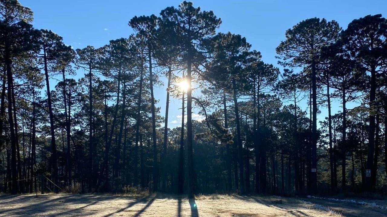 Tarde soleada desde el Parque Nacional El Tecuán. Foto: Facebook Cabañas y Parque Ecológico El Tecuán.
