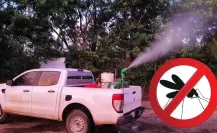 Gobierno de Yucatán y SSY realizan acciones contra el Dengue, Zika y Chikungunya