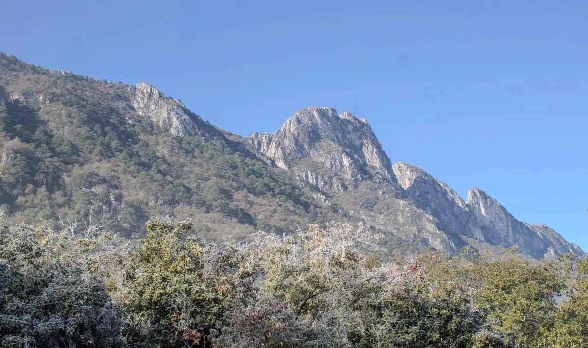 La fauna local es un atractivo único. Foto:  Parque Ecológico Chipinque