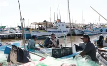 Fortalecen el sector pesquero en Yucatán: ¿Cuáles son las acciones que implementarán?