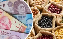 CURP biométrica: 5 noticias falsas de las que debes cuidarte