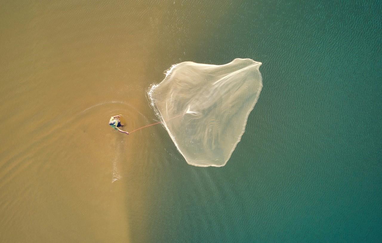 ¿Cuál es el balance de la pesca de pulpo?. Foto: Unsplash