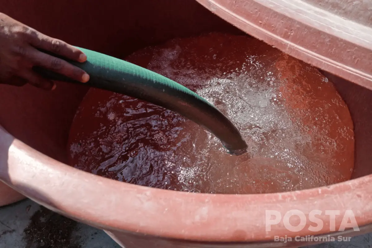 Estás colonias serán beneficiadas con agua potable adicional. Foto: Irving Thomas