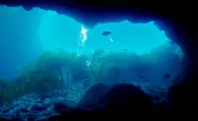 Descubre 5 datos interesantes del Golfo de California que seguro no conocías