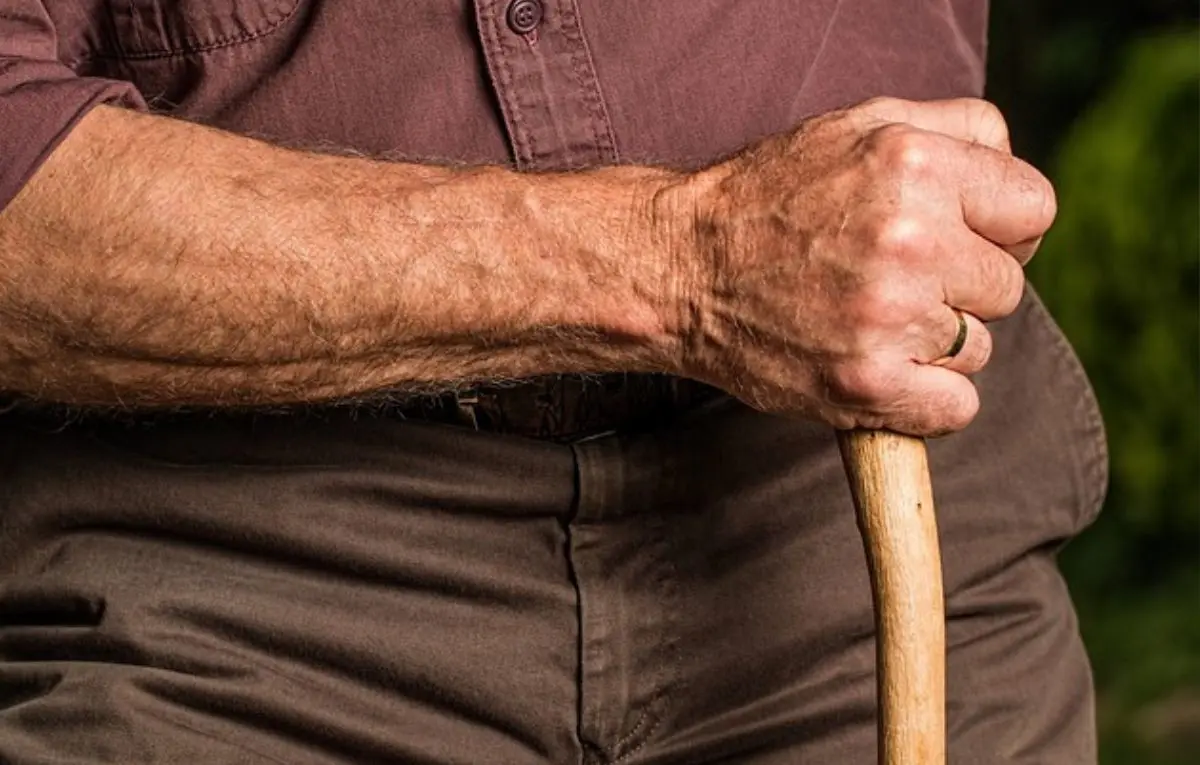 Los pensionados con condiciones especiales, como discapacidad, podrían recibir un aumento del 15% sobre su pensión mensual. Foto: Stevepb / Pixabay