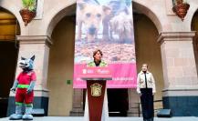 Delfina Gómez entrega apoyo a asociaciones civiles protectoras de animales en el Edomex