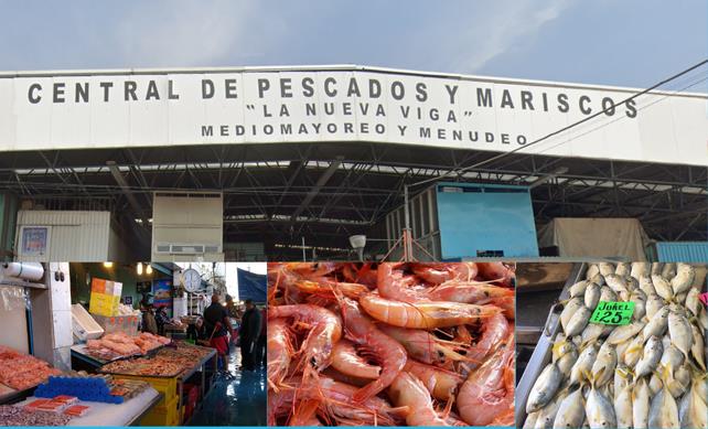 Fachada del mercado de la nueva viga con productos del mar Foto: Gobierno de CDMX MexicoCity.cdmx.gob.mx editada en canva