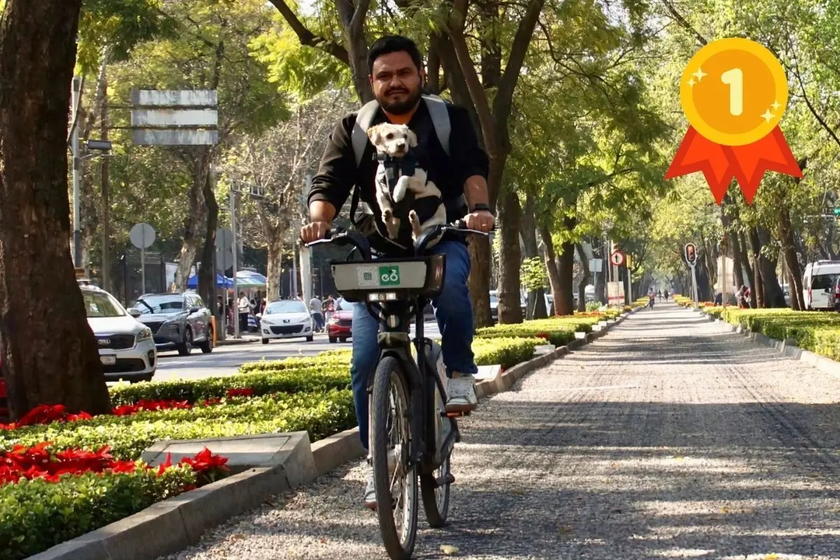 Persona en bicicleta como movilidad sustentable. Foto: Foto portada, crédito: SMEOVI / edición Canva