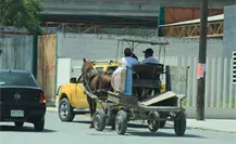 Ciudad Madero pondrá fin al maltrato de caballos; carretoneros tendrán reglamento
