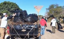 Retiran más de 3 toneladas de plástico en manglares de Puerto San Carlos