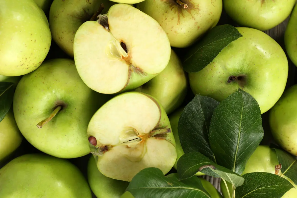 El frío prolongado, al sumar más horas frías para los árboles, genera mejores condiciones para el desarrollo del fruto./Foto: Canva