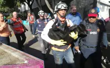 Rescatan a perrito de las vías del Metro, así sucedió en la Línea 8