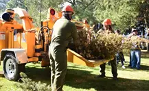 Recicla tu arbolito de Navidad; estos son los mejores puntos de Edomex Recicla tu arbolito de Navidad; estos son los mejores puntos de Edomex