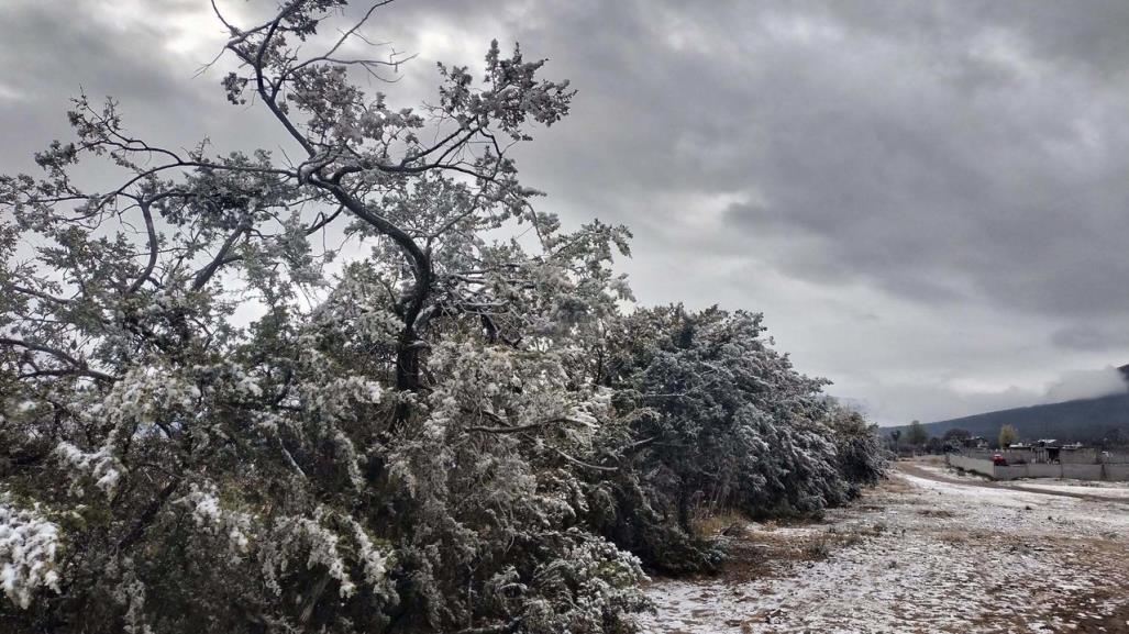 ¿En cuáles pueblos mágicos de Coahuila puedes ver nieve en enero?