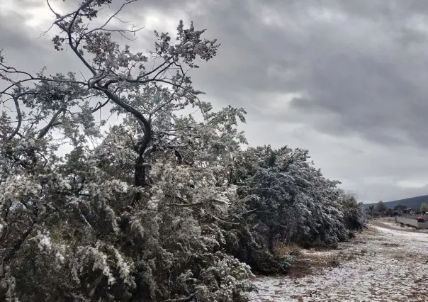 ¿En cuáles pueblos mágicos de Coahuila puedes ver nieve en enero?