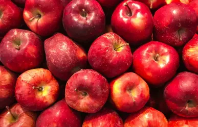 ¿Qué clima es bueno para la manzana en Arteaga?