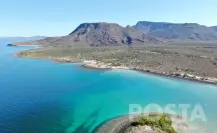 ¿Por qué el Mar de Cortés es Patrimonio Mundial de la Unesco?